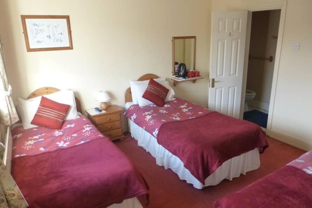 Iron/ironing board (on request), WiFi (free), bed sheets