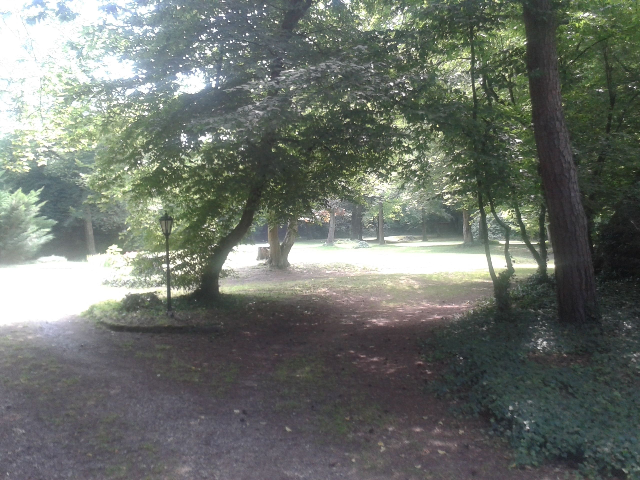 Zona arbolada con un sendero de tierra, árboles y un farol.