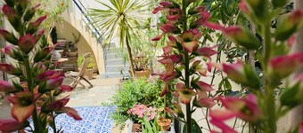 Patio Del Mar