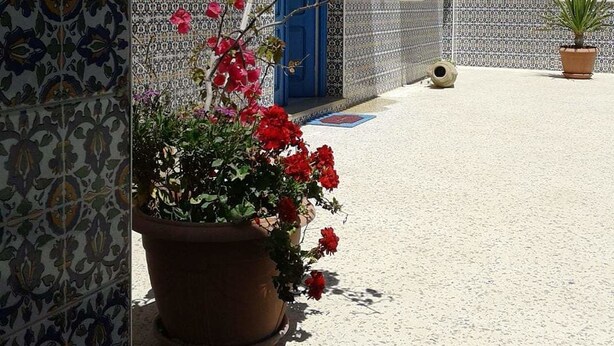 A building with blue doors and windows, white walls, and patterned tiles. - Dar El Goulli (Sousse)