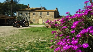 A stone building with a dirt driveway, a parked tractor, and a field of purple flowers. - Agriturismo La Valentina Nuova (Orbetello)