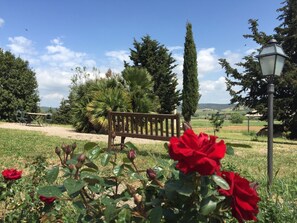 บริเวณที่พัก