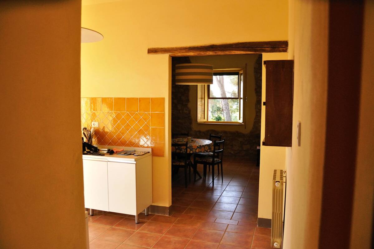 Family Apartment, 1 Bedroom | Room amenity