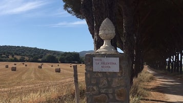 Un cartello di pietra con una targa che recita "TENUTA LA VALENTINA NUOVA" in un contesto rurale, con balle di fieno e un sentiero alberato.