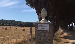 Ein Steinschild mit einer Tafel, auf der "TENUTA LA VALENTINA NUOVA" steht, in ländlicher Umgebung mit Heuballen und einem von Bäumen gesäumten Weg.