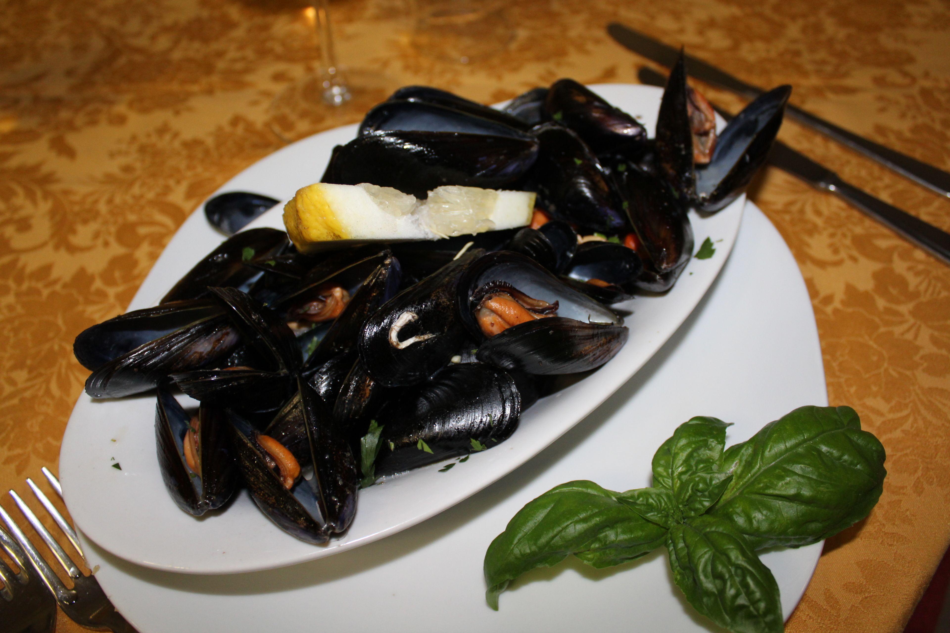 Photo - Ristorante Hotel Avvenire