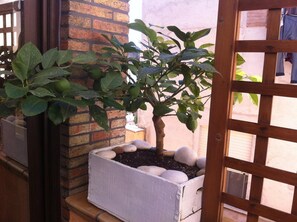 Design Double Room, Terrace, Sea View | Terrace/patio - La Corte Normanna (Sciacca)