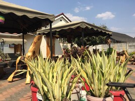 Parco della struttura