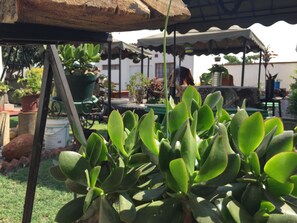 Property grounds - Mpofu Guest House (Harare)