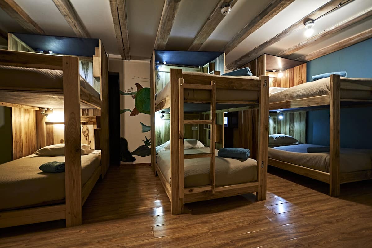 A dormitory room with bunk beds, wooden floors, and a mural on the wall.