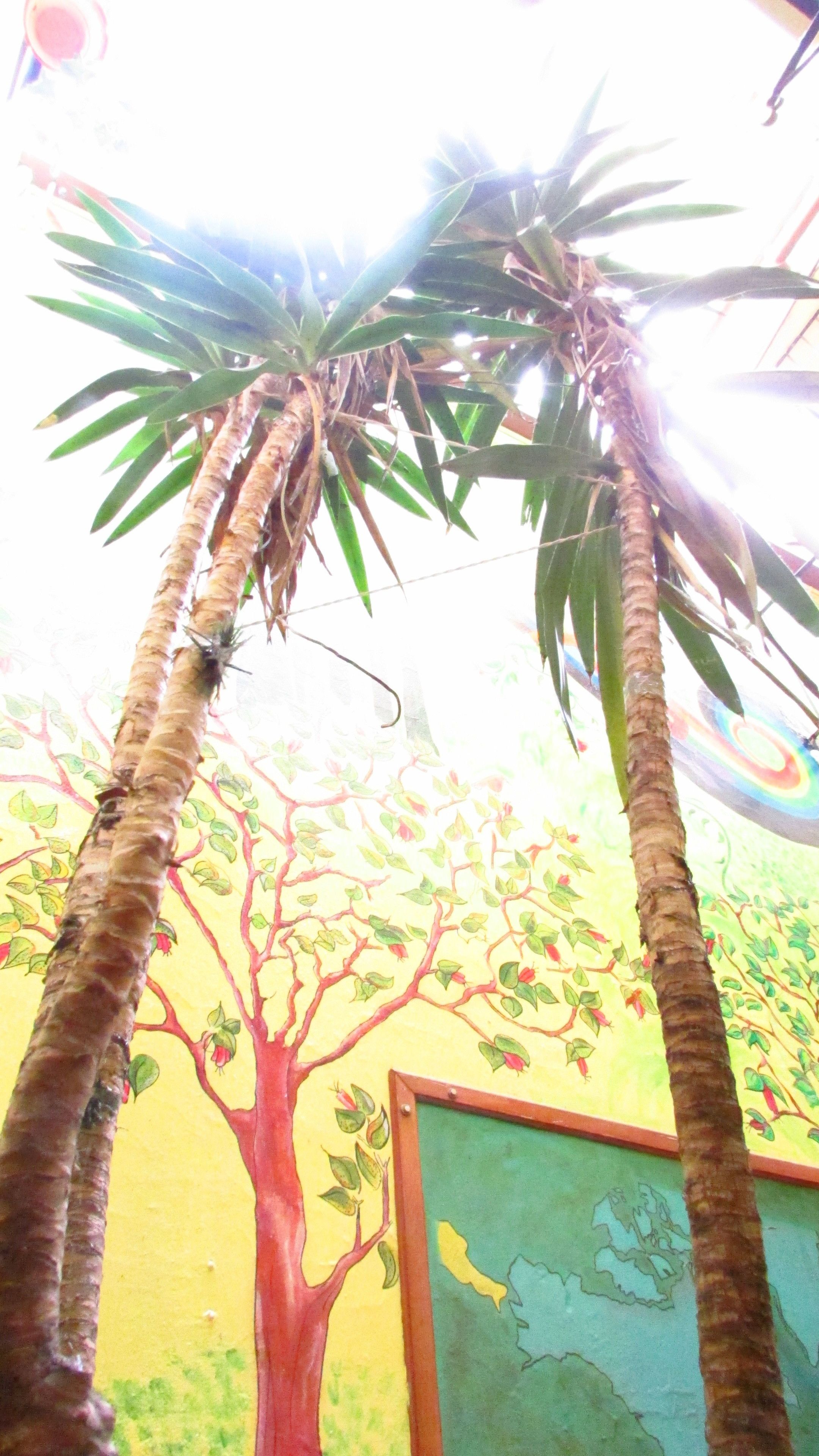 A palm tree with a mural of a tree with red branches and green leaves in the background.
