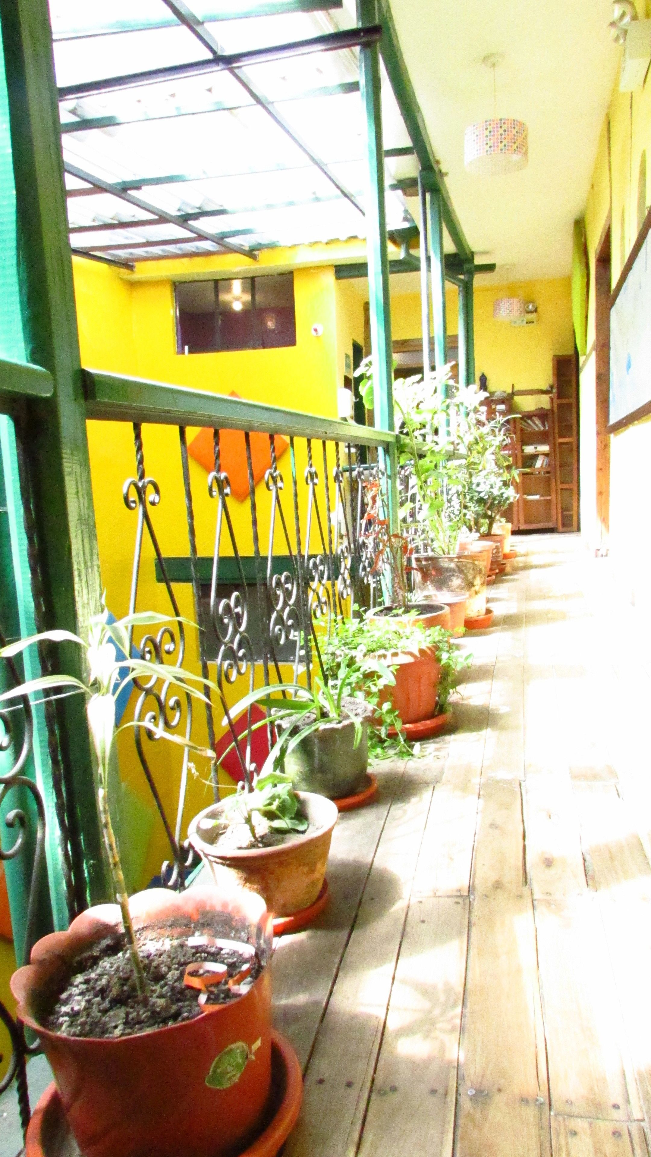 Foto - The Secret Garden