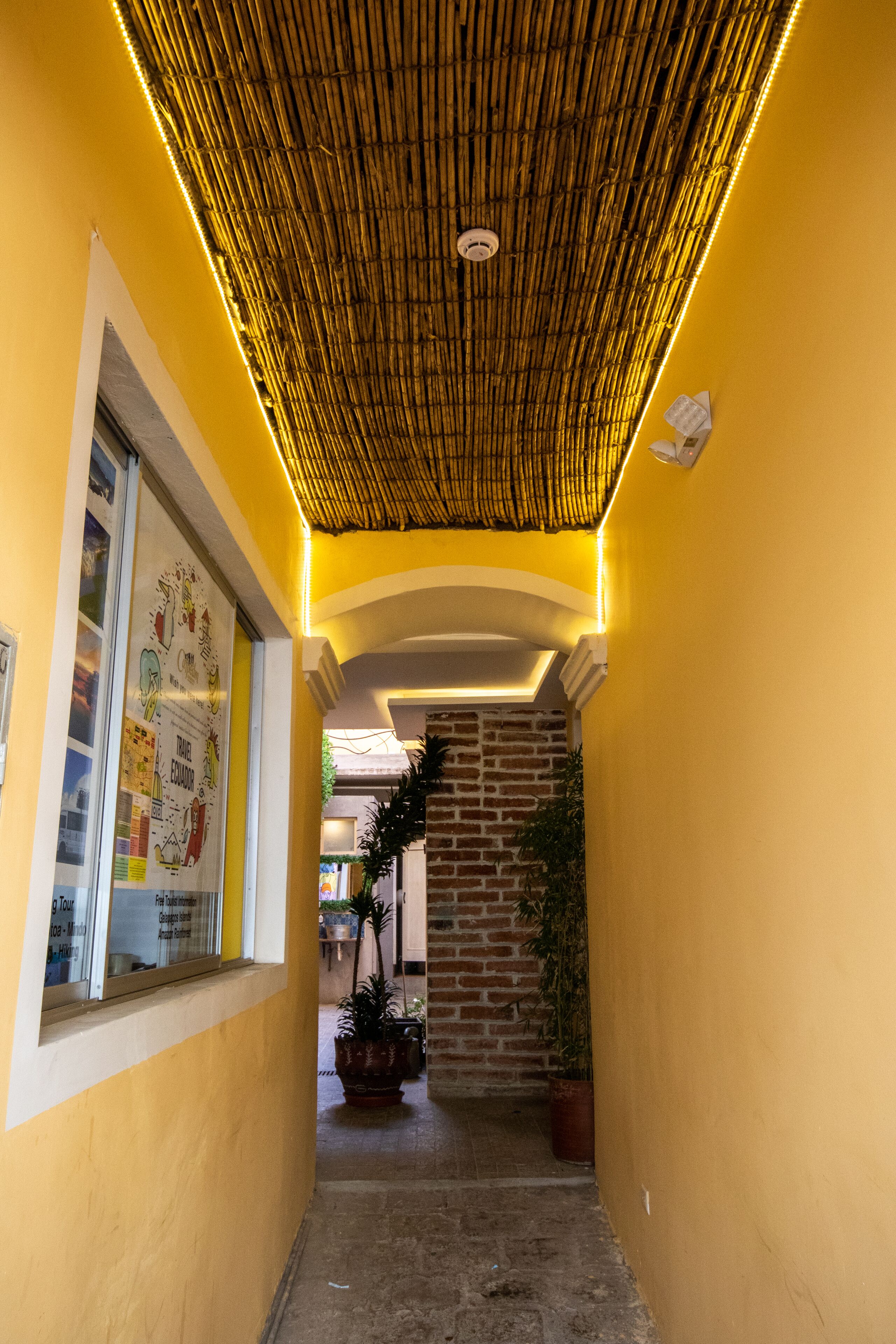 Foto - The Secret Garden