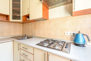 Superior-Apartment (Shevchenko Boulevard 6) | Eigene Küche