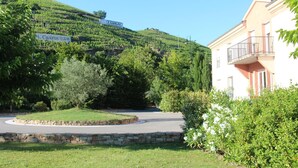 Un vignoble en pente, avec des panneaux indiquant les noms de E. Guigal et M. Chapoutier, une route sinueuse et un bâtiment doté d’un balcon.