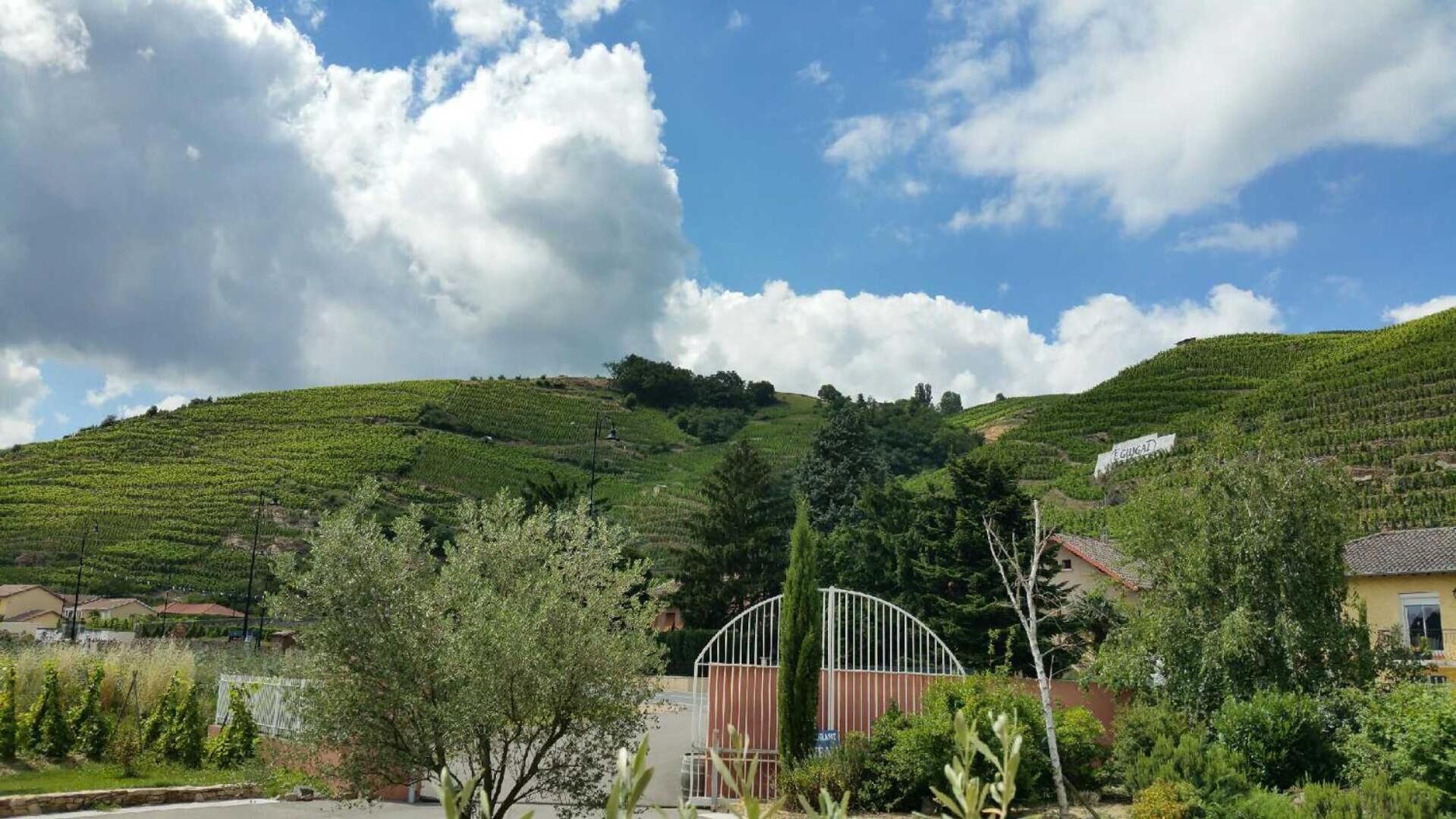 Un viñedo con campos en terrazas, una puerta y un edificio con techo rojo.