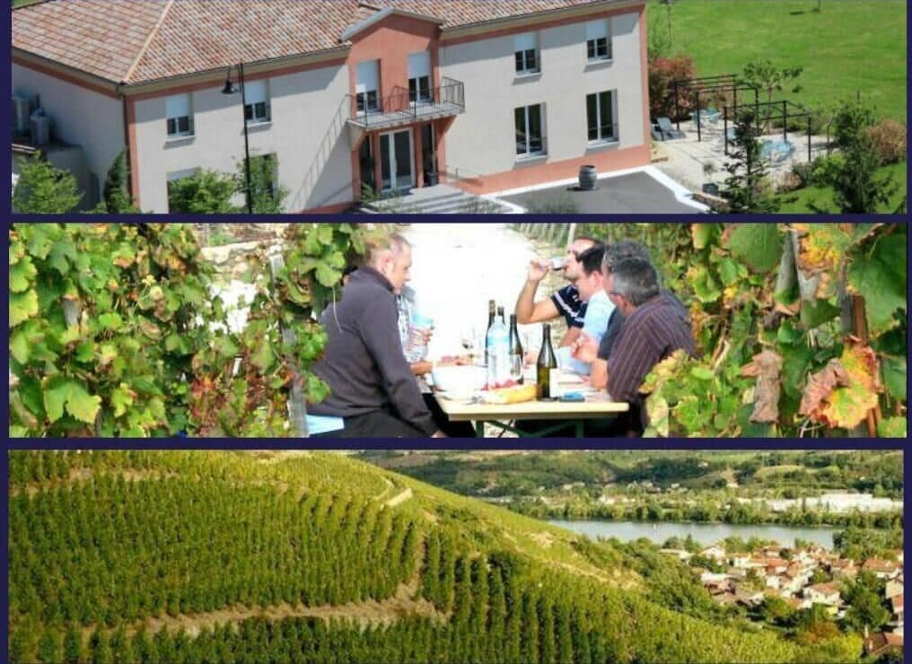 Foto - Hôtel Le Domaine des Vignes Ampuis Lyon Sud Vienne