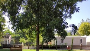 A grassy area with a wooden deck, a tree, and a fence.