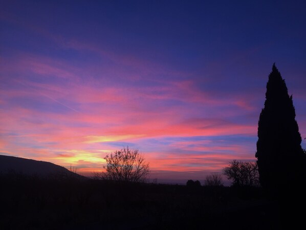 View from property