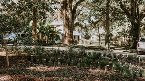 A residential area with mature trees, a white house, and parked vehicles. - Mouton Plantation (Lafayette)