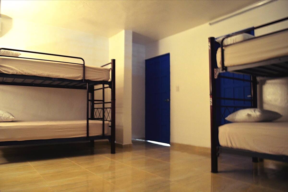Classic Shared Dormitory, Mixed Dorm | In-room safe, free WiFi