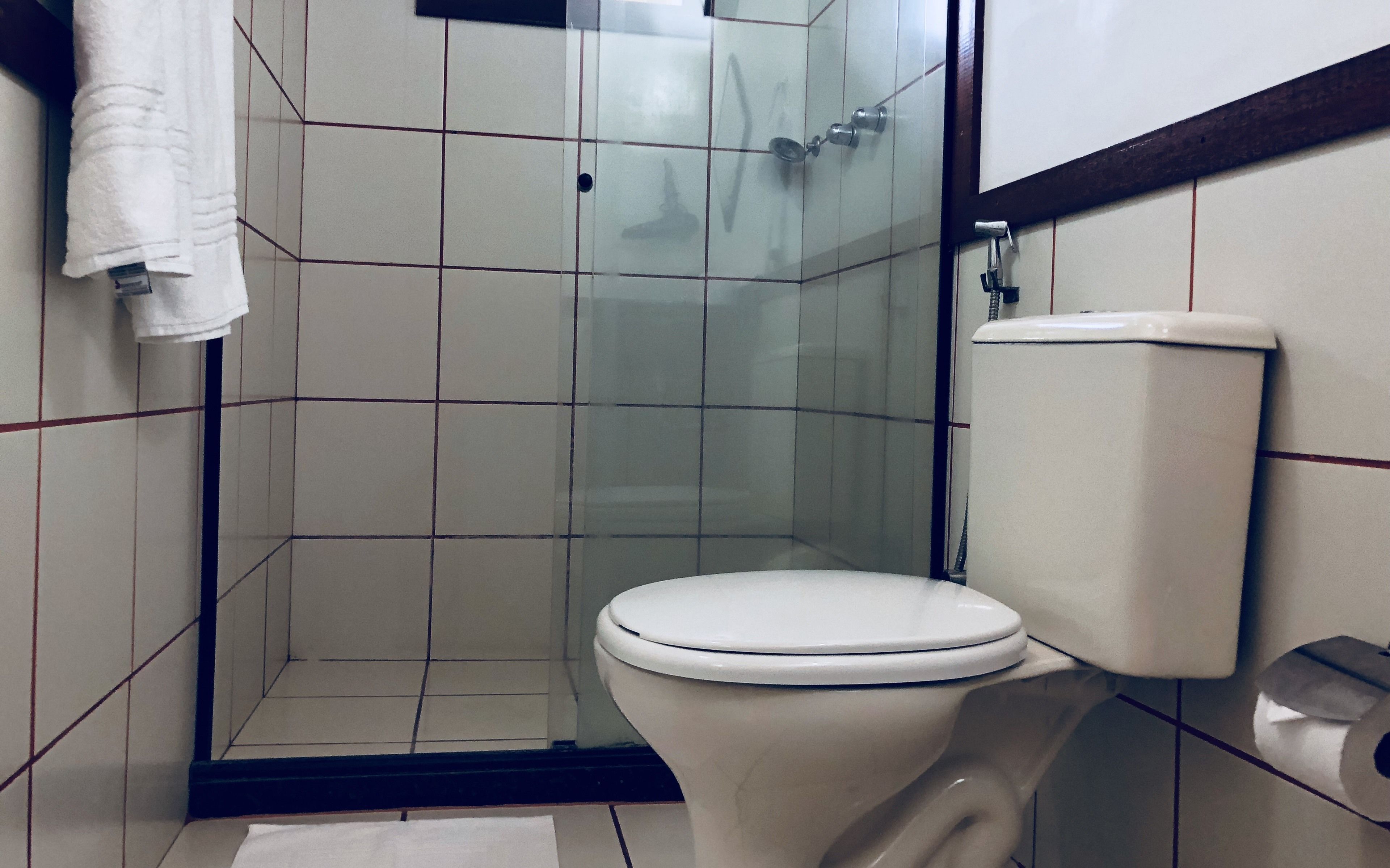 A bathroom with a toilet, a glass shower enclosure, and a towel hanging on the wall.