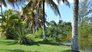 Vistas al lago