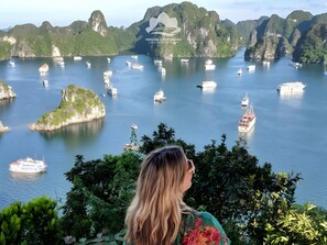 Eine Frau blickt auf eine Bucht mit zahlreichen Booten, umgeben von üppiger Vegetation und Kalksteinklippen.