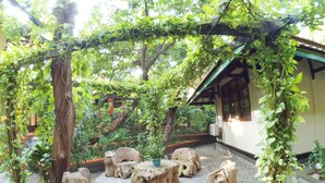 A garden with stone sculptures, a pergola covered in vines, and a building with a tiled roof.