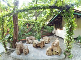 Área da propriedade