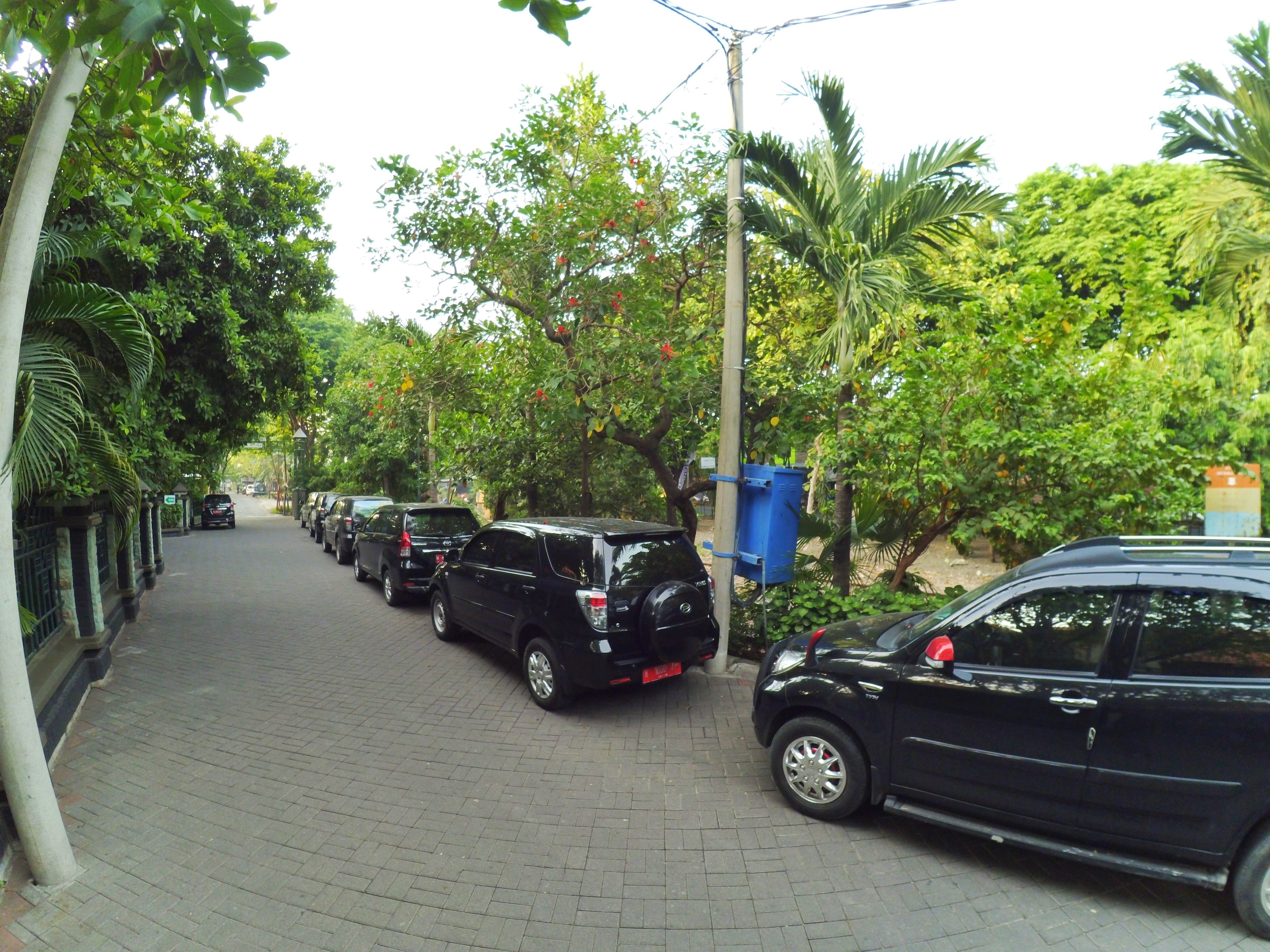 Una calle pavimentada flanqueada por vehículos estacionados y frondosos árboles verdes.
