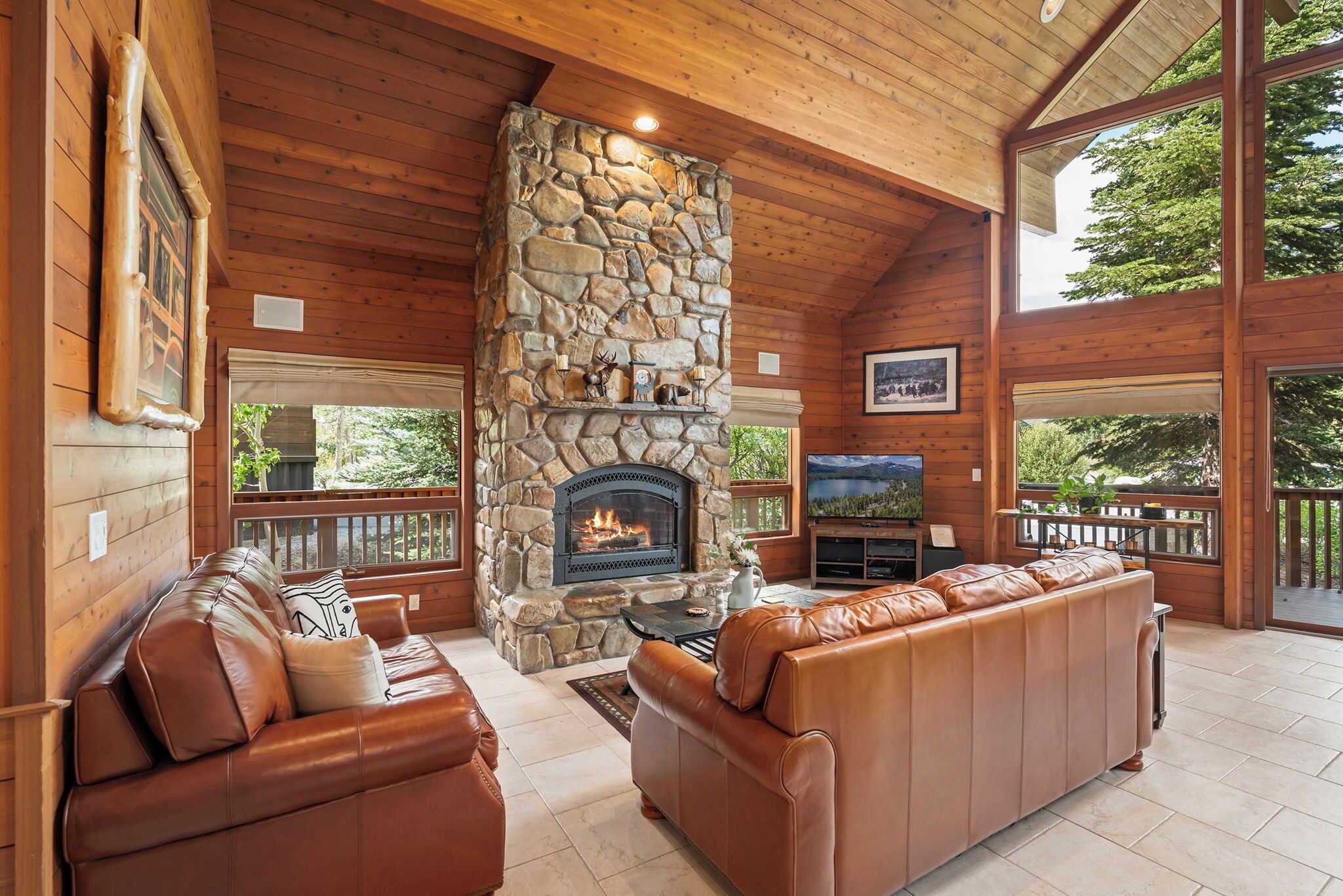 Télévision, cheminée, livres