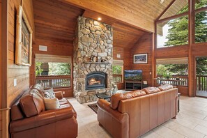 TV, fireplace, books