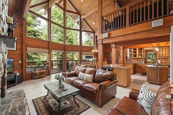 TV, fireplace, books