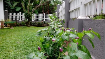 Jardim