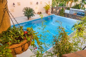 A swimming pool with clear blue water, surrounded by potted plants and a stone wall.