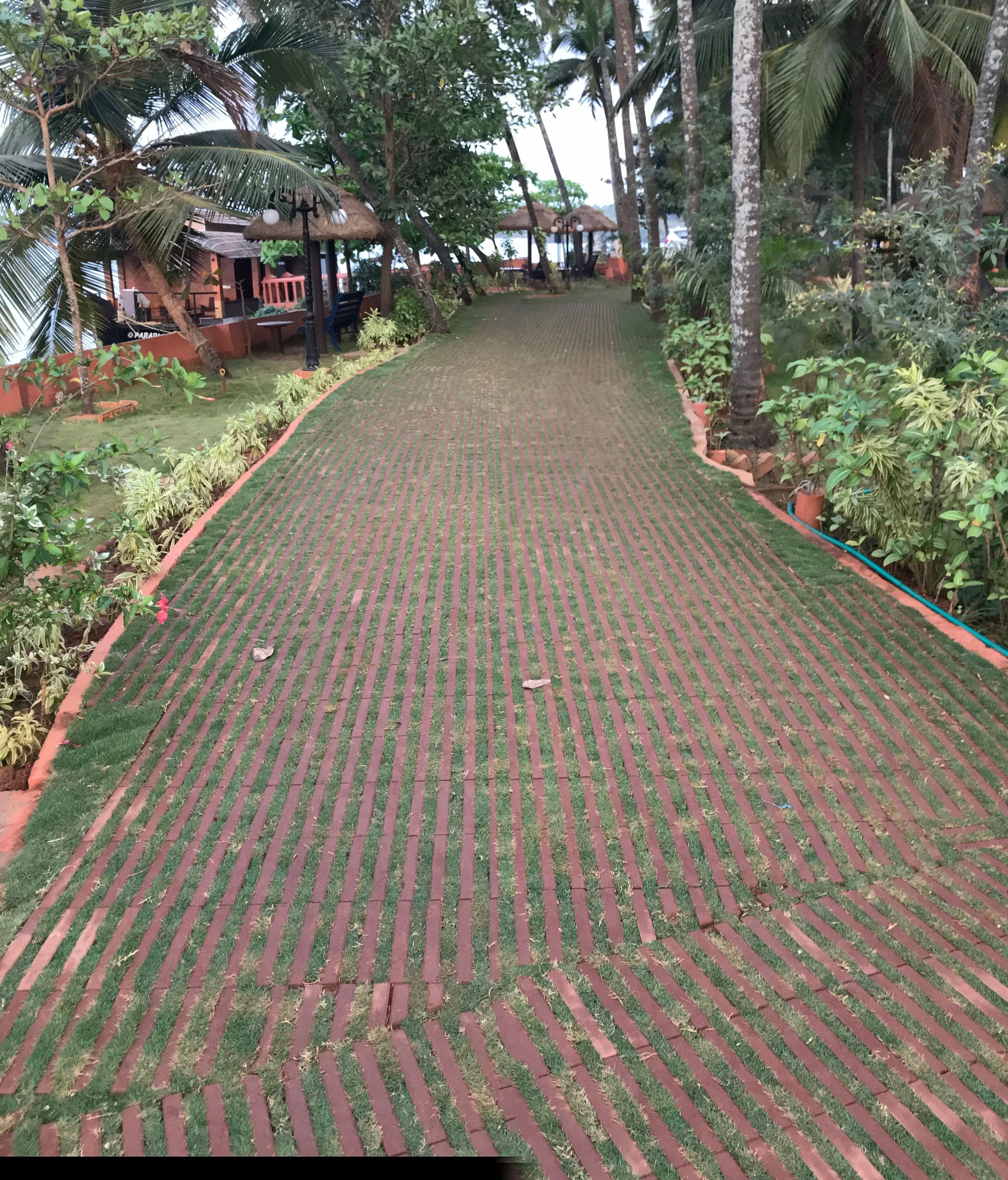 A pathway with a brick pattern, surrounded by greenery and palm trees.