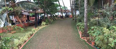 A pathway with a brick pattern, surrounded by greenery and palm trees.