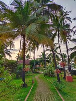 A pathway leading through a garden with palm trees and various plants.