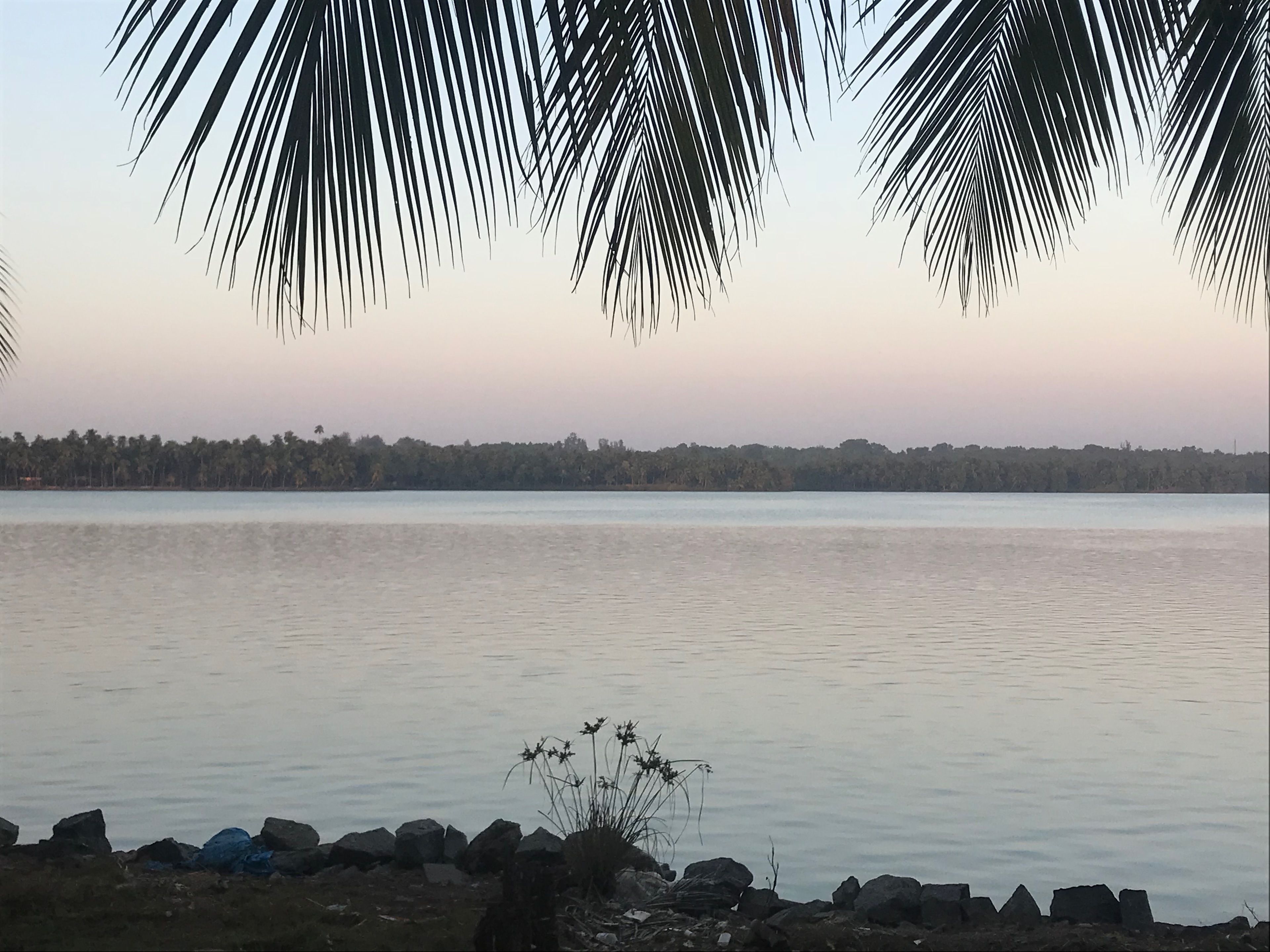 Tasik