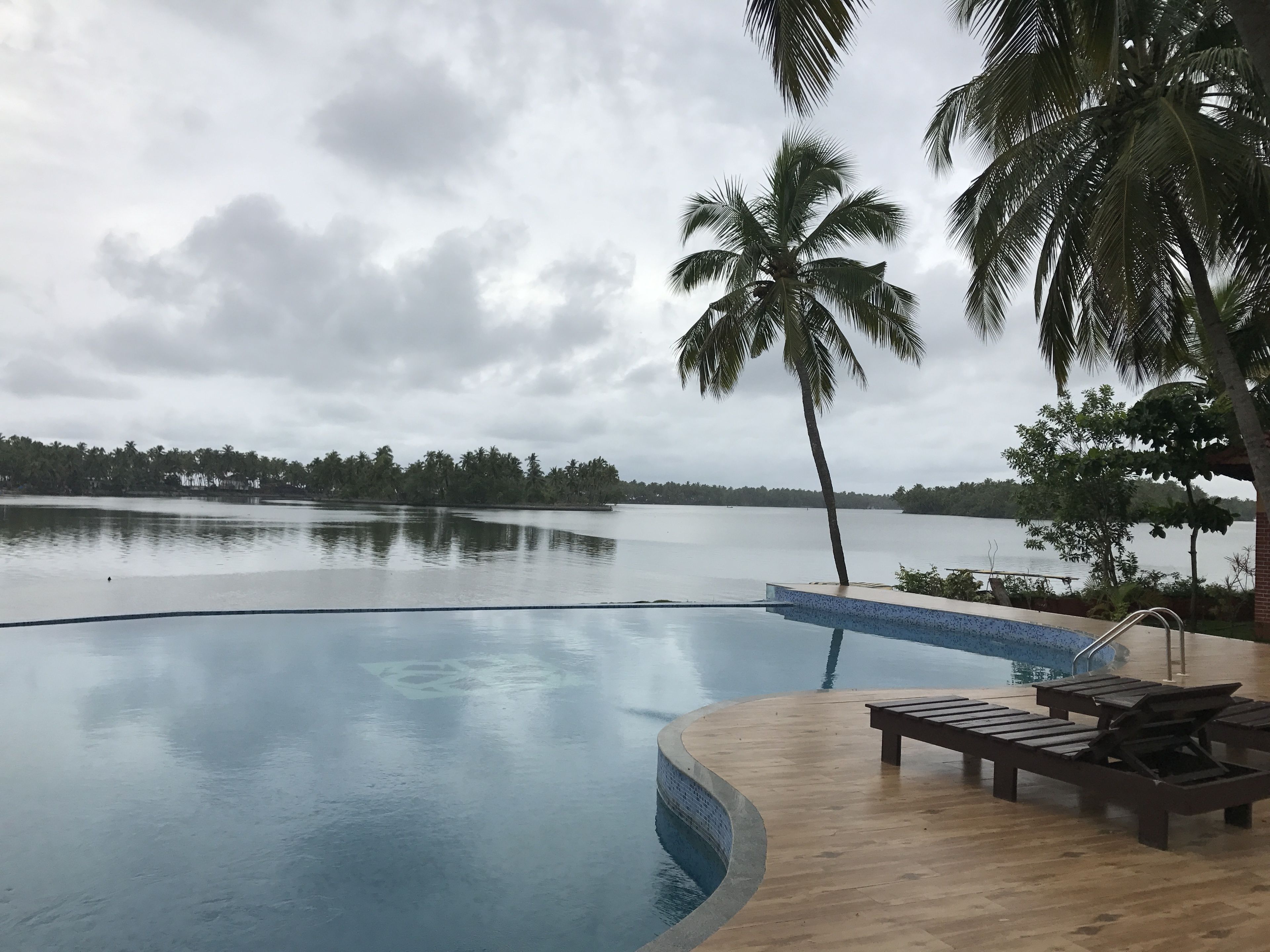 Piscina con cubierta de madera y sillas de descanso, rodeada de palmeras y vista a un lago tranquilo.