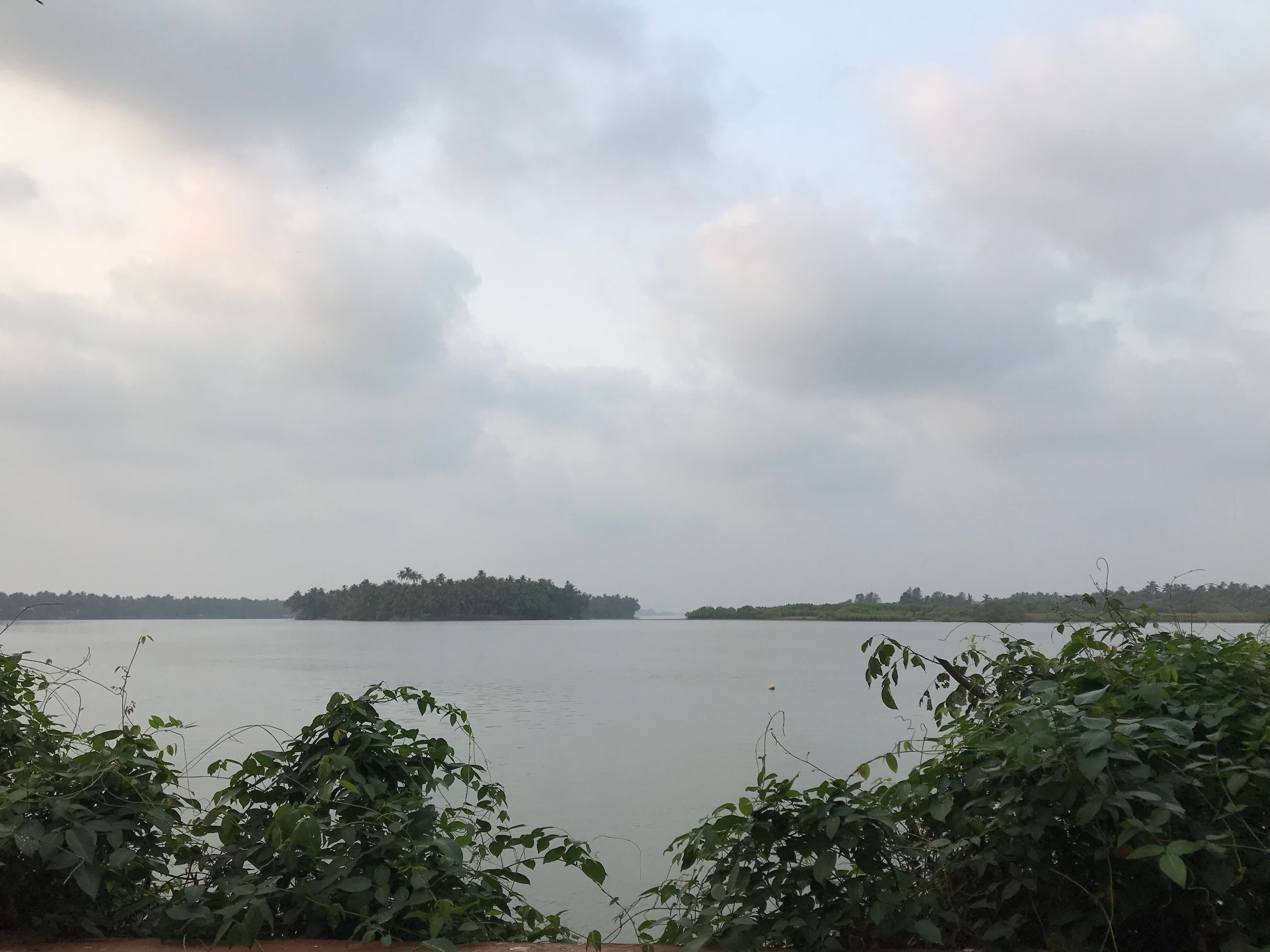 A view of a lake with a distant island covered in trees.