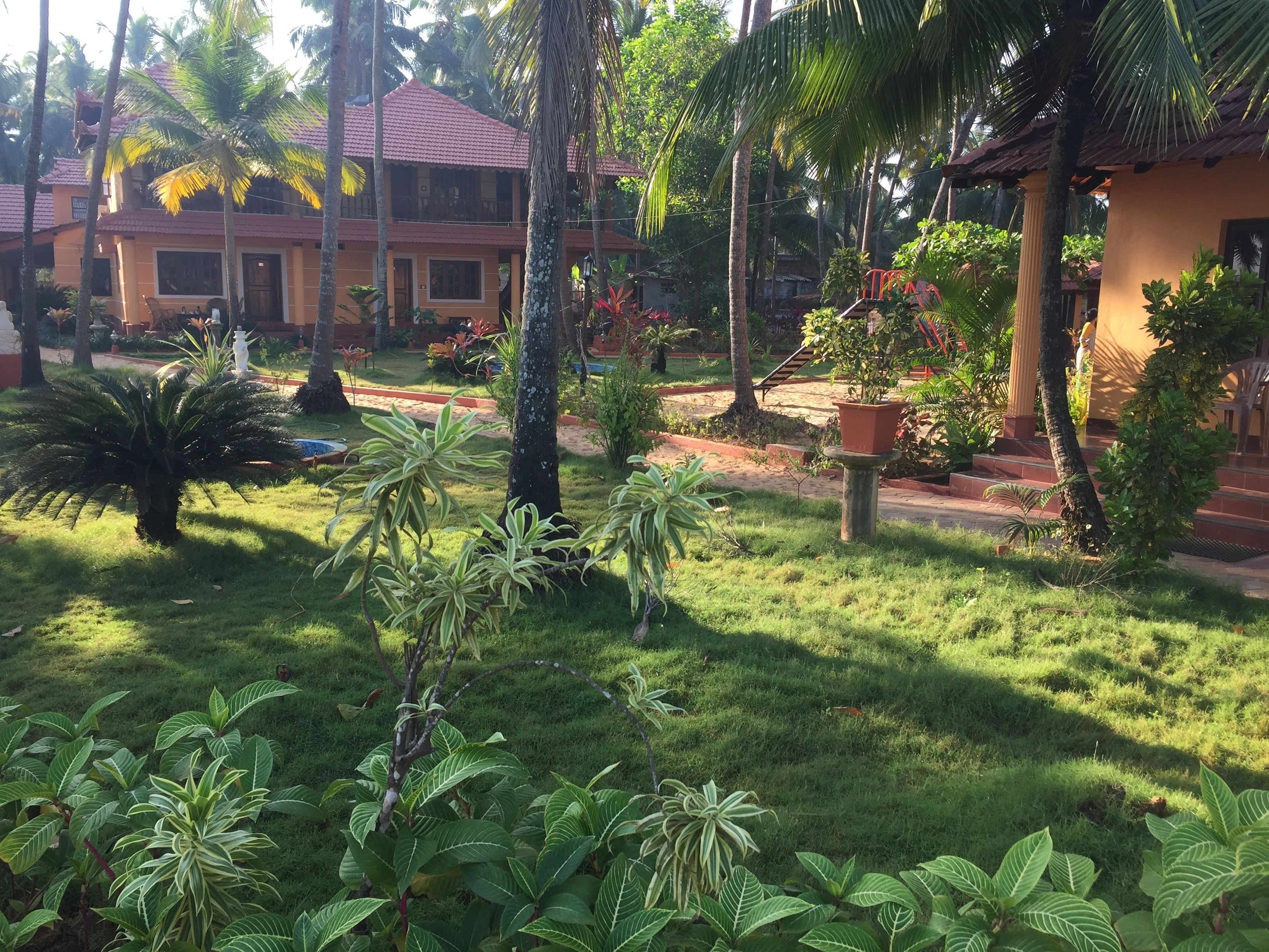 Taman