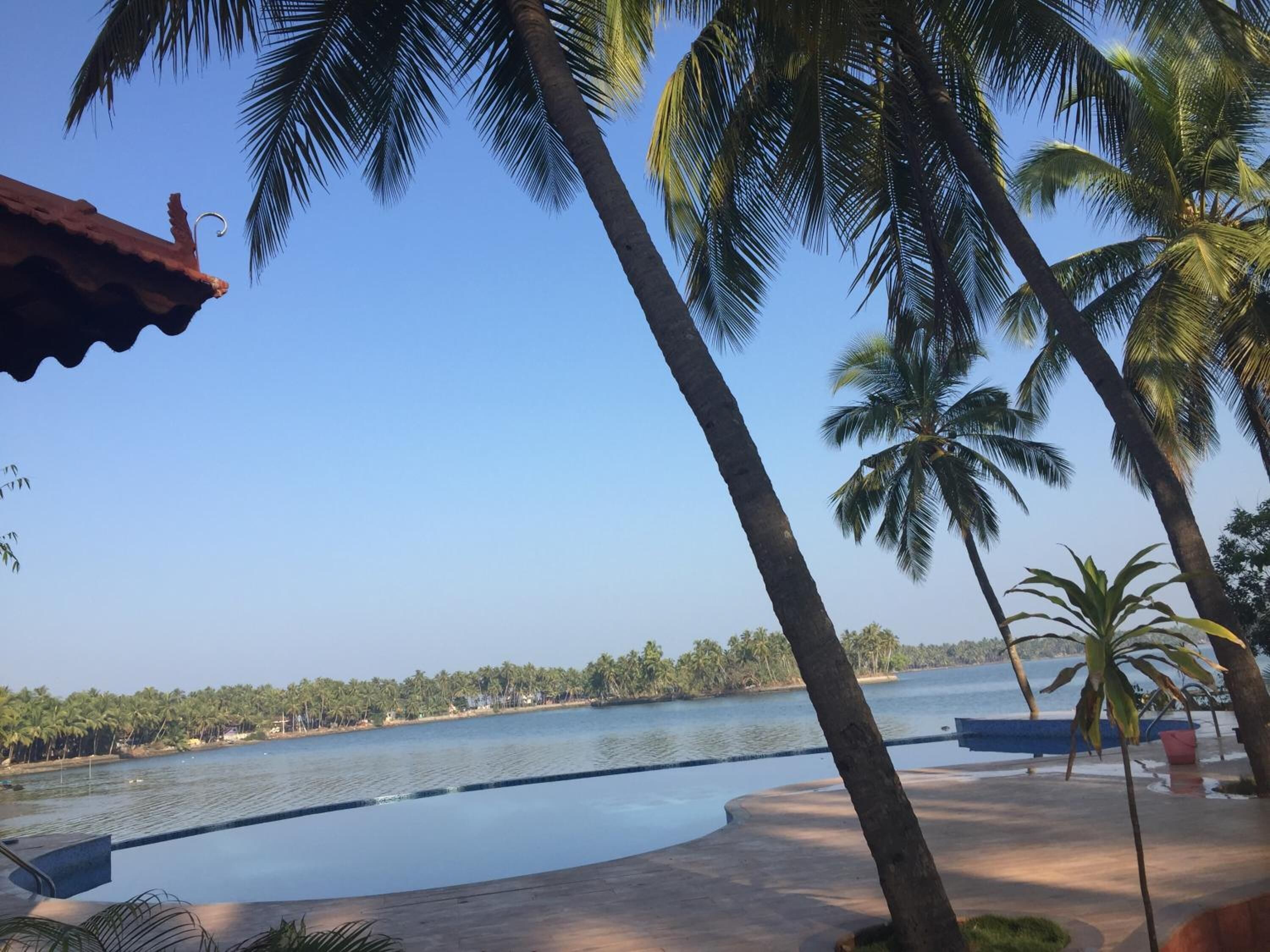 Zona de piscina con vista al mar, palmeras y cielo despejado.