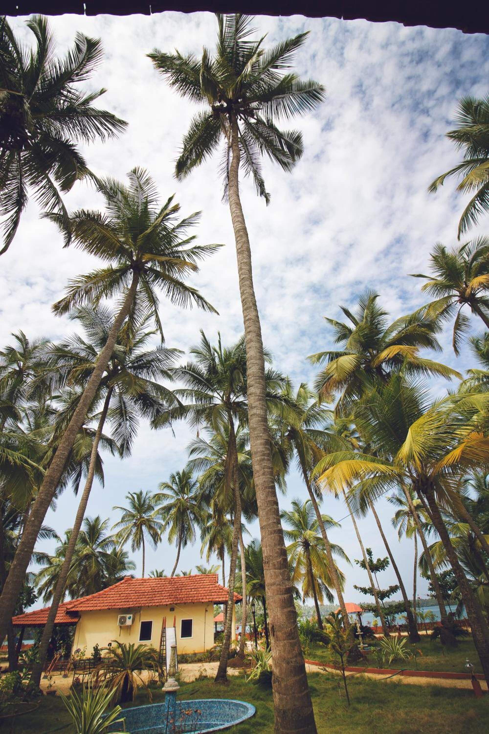 Tropische Szenerie mit Palmen, einem kleinen gelben Gebäude mit rotem Dach und blauem Himmel.
