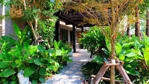 A pathway leading to a covered area with a pergola, surrounded by lush green plants and a building in the background.