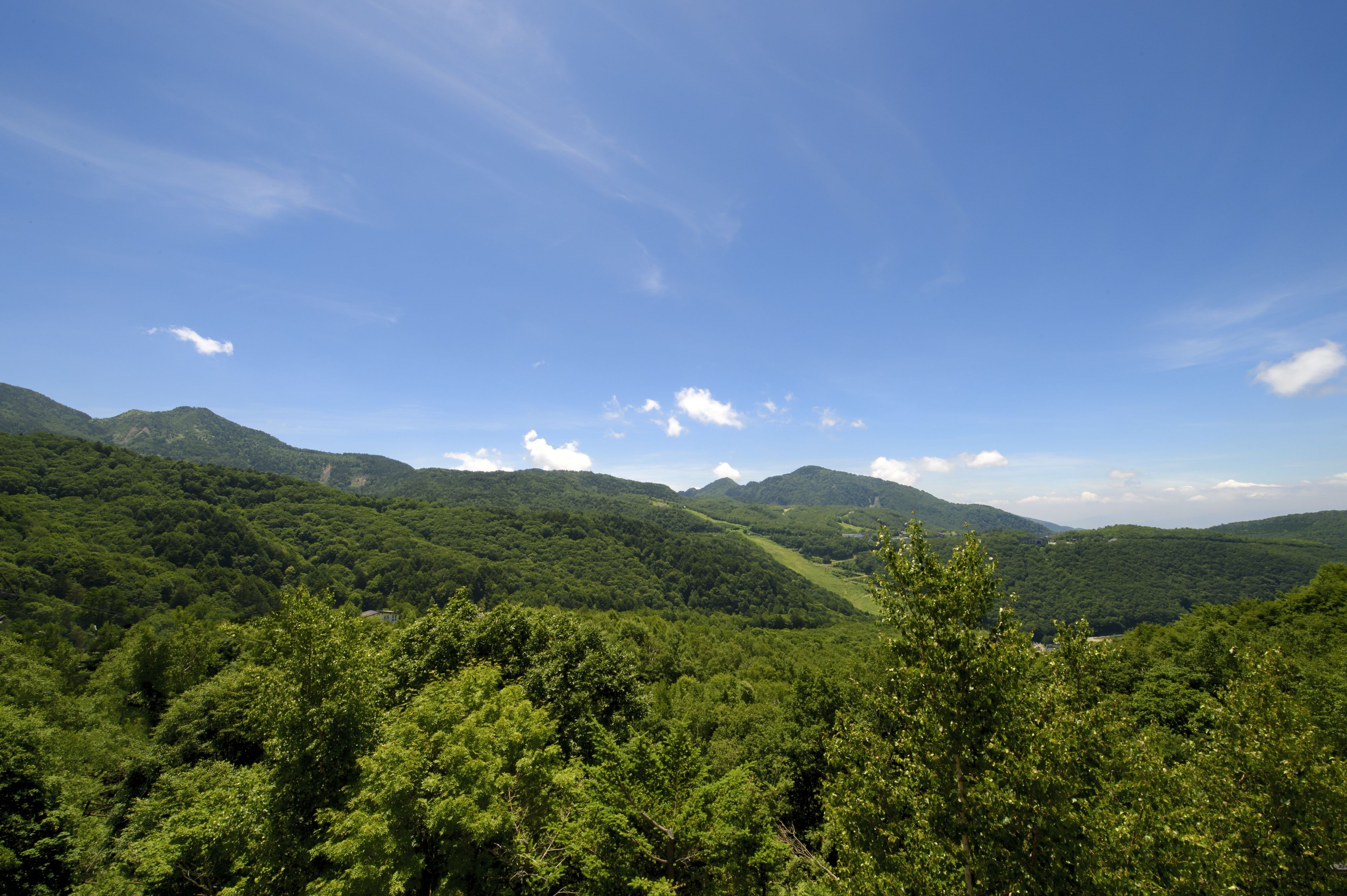 A mountainous landscape with dense forest and a clear sky.