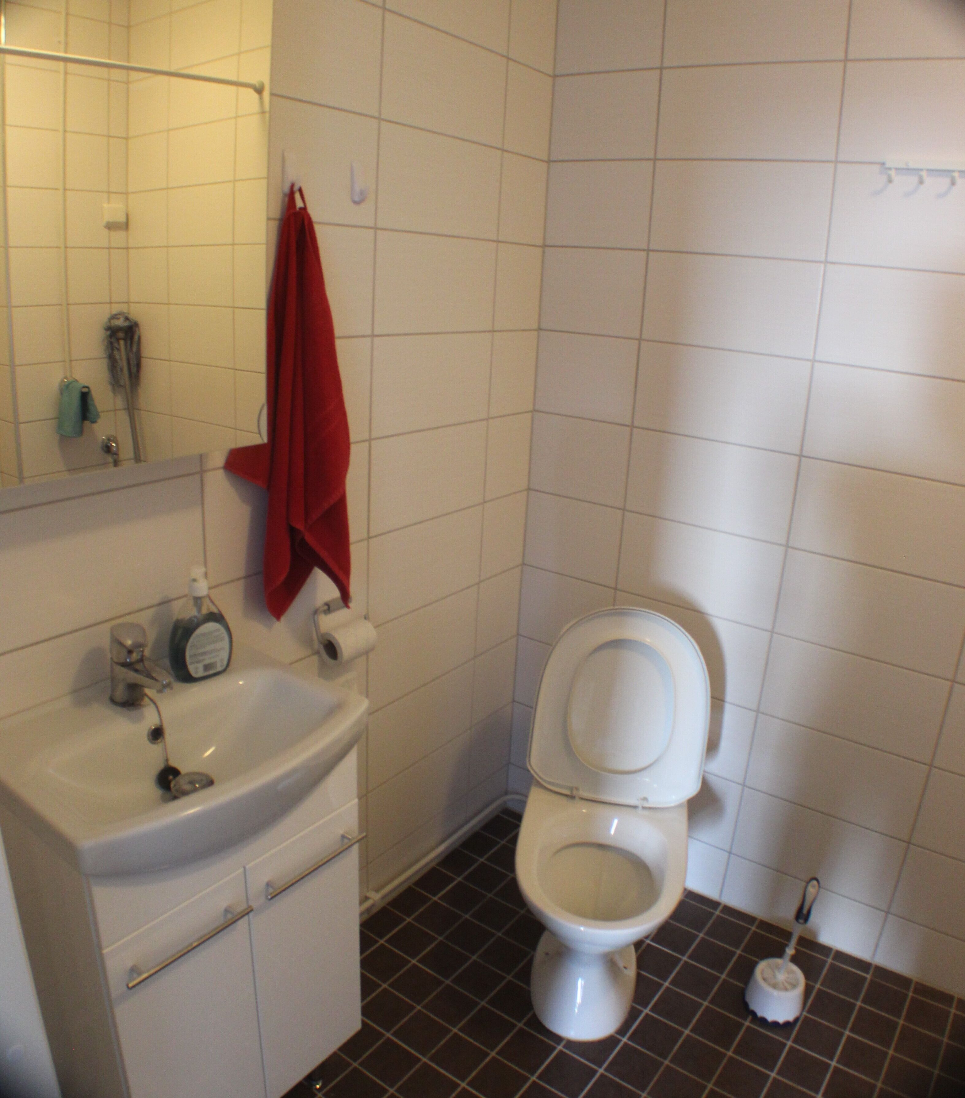 A bathroom with a white sink, a toilet, and a red towel hanging on the wall.