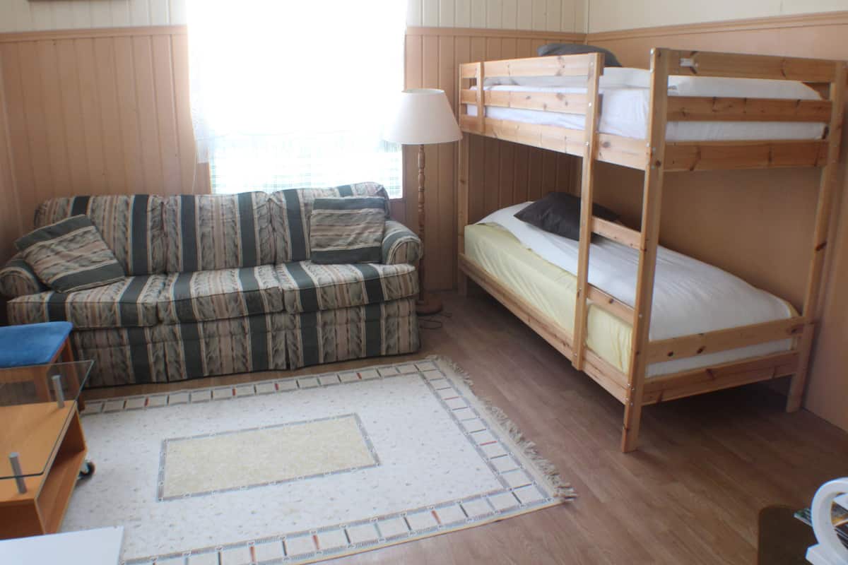 A room with a bunk bed, a sofa, a small table, and a window with curtains.