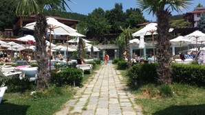 A pathway leading to outdoor seating areas with umbrellas, surrounded by greenery and palm trees.
